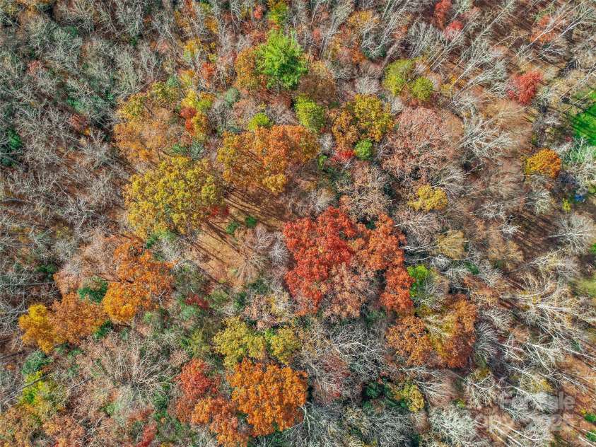 384 Flat Creek Road, Fairview, NC 28730.  MLS# CAR4240696, YatesRealty ID 2999. 