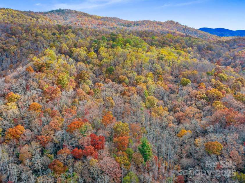 384 Flat Creek Road, Fairview, NC 28730.  MLS# CAR4240696, YatesRealty ID 2999. 