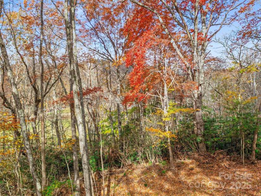 384 Flat Creek Road, Fairview, NC 28730.  MLS# CAR4240696, YatesRealty ID 2999. 