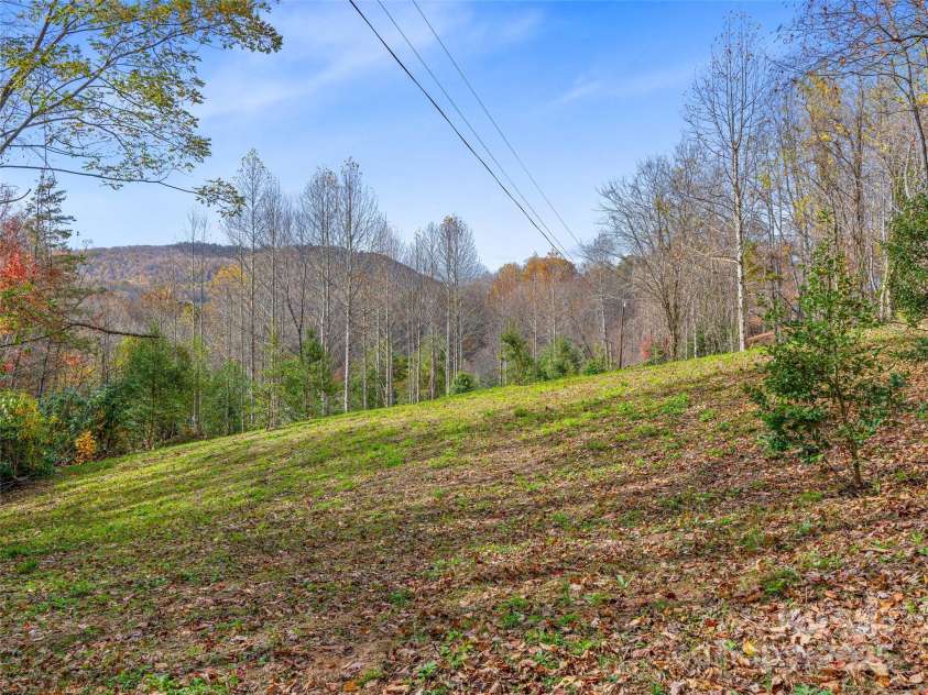 384 Flat Creek Road, Fairview, NC 28730.  MLS# CAR4240696, YatesRealty ID 2999. Pasture with holly trees.