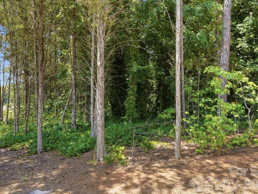 12005 Basking Drive, Charlotte, NC 28214.  MLS# CAR4384590, YatesRealty ID 30042. 