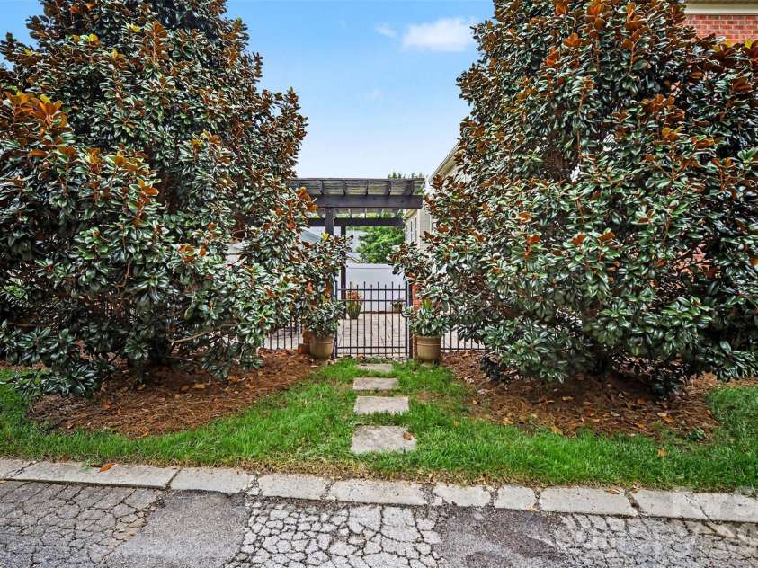 438 Magnolia Street, Davidson, NC 28036.  MLS# CAR4368147, YatesRealty ID 30083. Extremely private courtyard. This is the entry from the side alley.  These large Magnolia trees make the courtyard feel more like having a yard but with NO maintenance!