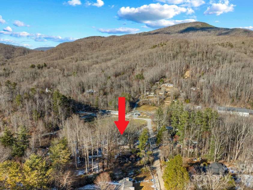 86 Chestnut Hill Road, Gerton, NC 28735.  MLS# CAR4213931, YatesRealty ID 3024. North, towards Florence Nature Preserve