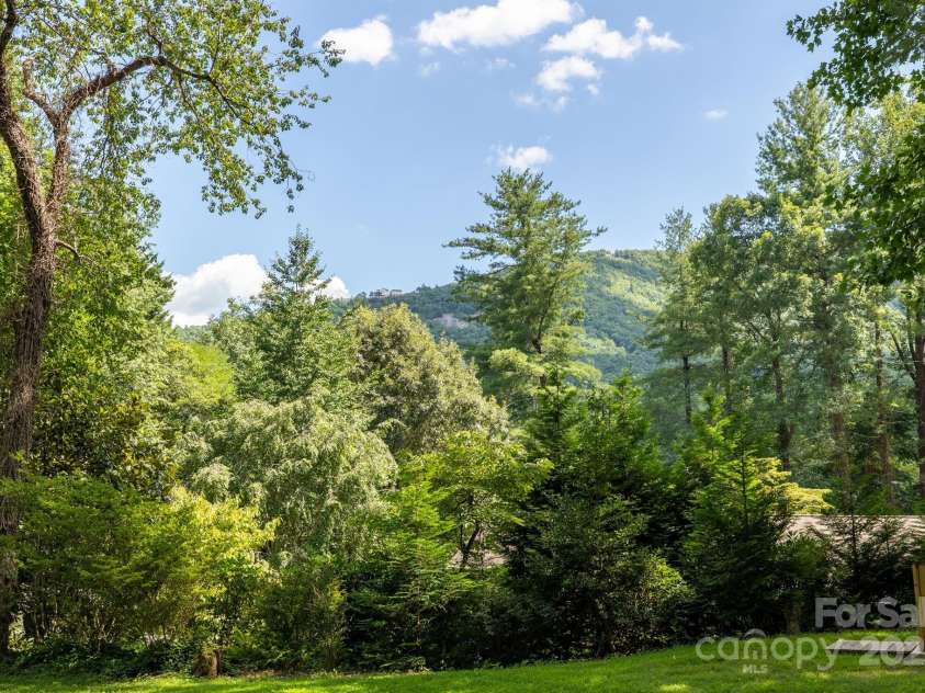 103 White Pine Road, Hendersonville, NC 28739.  MLS# CAR4284209, YatesRealty ID 30277. Back yard views