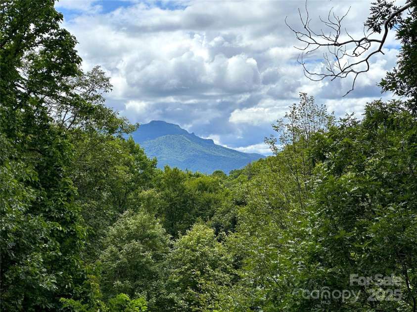 285 Wetherley None, Boone, NC 28607.  MLS# CAR4247849, YatesRealty ID 3029. Grandfather Mountain views!