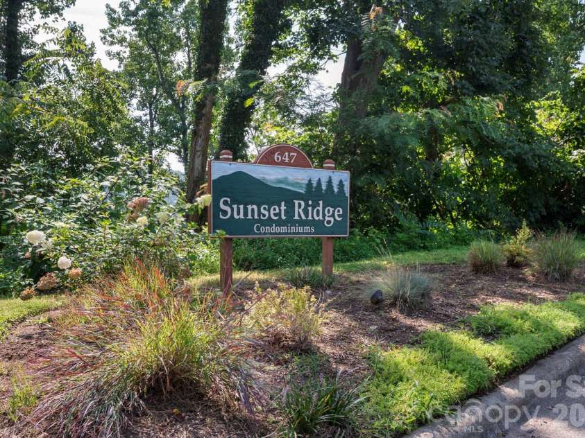 647 Town Mountain Road, Asheville, NC 28804.  MLS# CAR4414471, YatesRealty ID 30305. 