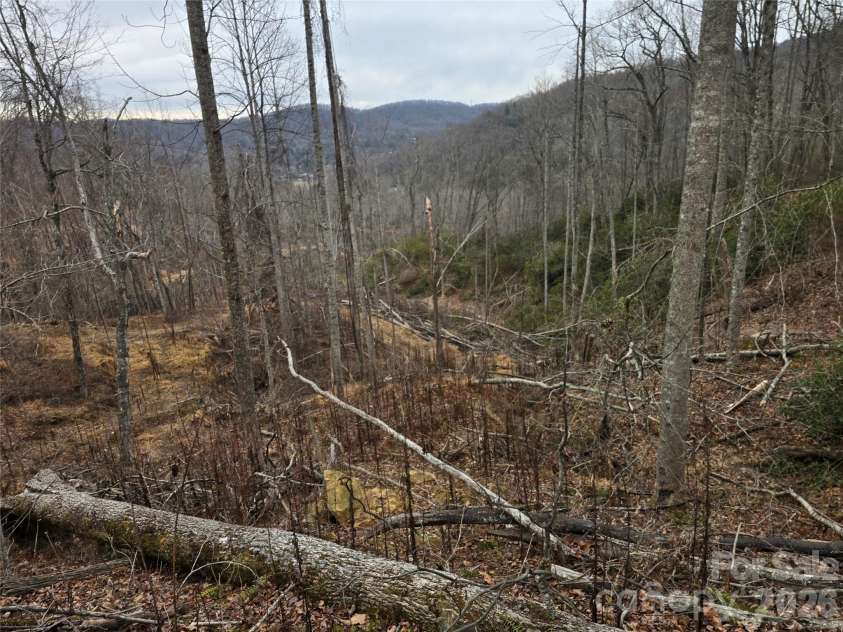 1480 Davis Mountain Road, Hendersonville, NC 28739.  MLS# CAR4390501, YatesRealty ID 30320. Parcel 2 looking at road cut outs throughout parcel 2 and 3