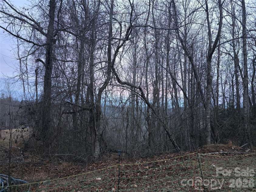 1480 Davis Mountain Road, Hendersonville, NC 28739.  MLS# CAR4390501, YatesRealty ID 30320. Winter views from parcel 1