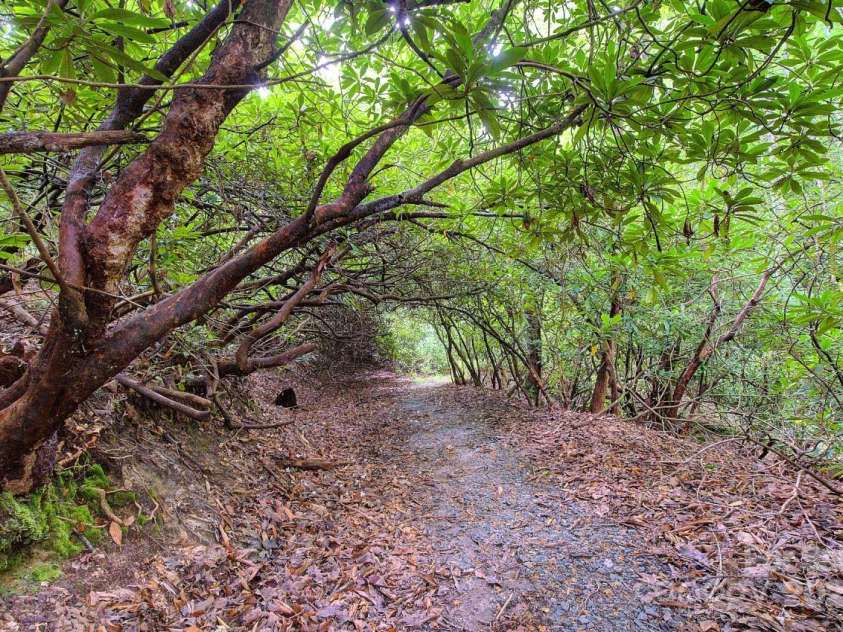 554 Pisgah Forest Drive, Pisgah Forest, NC 28768.  MLS# CAR4280084, YatesRealty ID 30332. 