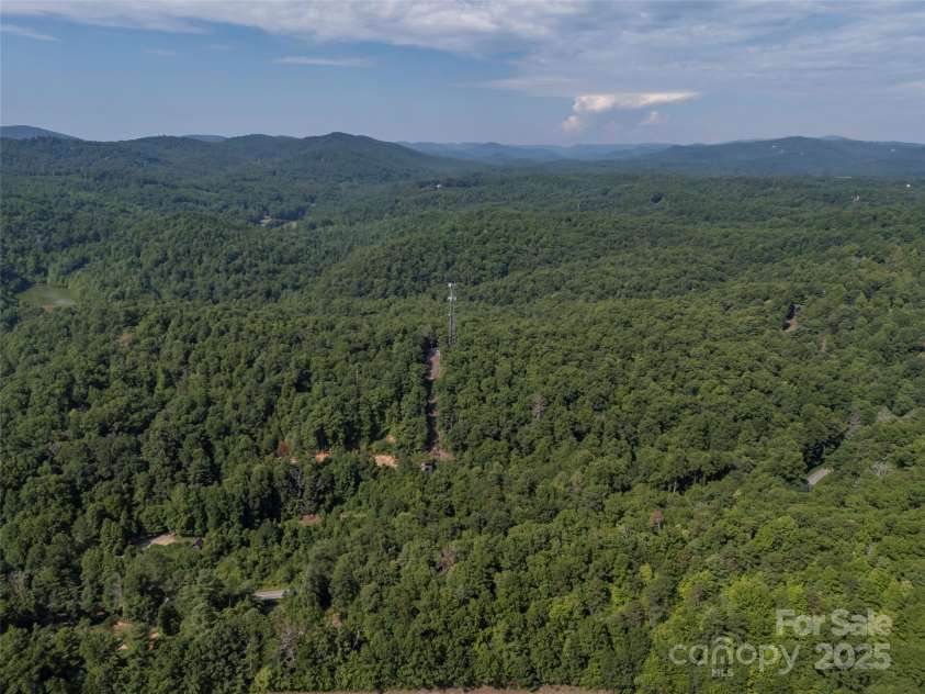 1084 Old Howard Gap Road, Saluda, NC 28773.  MLS# CAR4162081, YatesRealty ID 3035. 