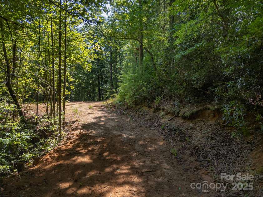 1084 Old Howard Gap Road, Saluda, NC 28773.  MLS# CAR4162081, YatesRealty ID 3035. 
