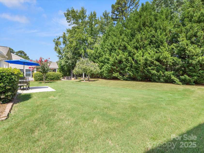 2513 Rosebud Court, Tega Cay, SC 29708.  MLS# CAR4284006, YatesRealty ID 30360. Backyard view of trees