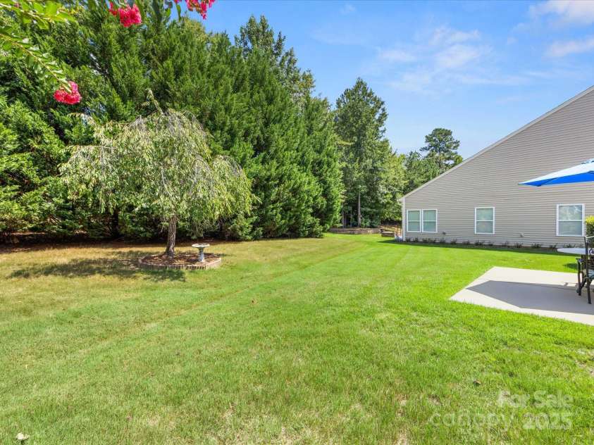 2513 Rosebud Court, Tega Cay, SC 29708.  MLS# CAR4284006, YatesRealty ID 30360. Backyard view of trees
