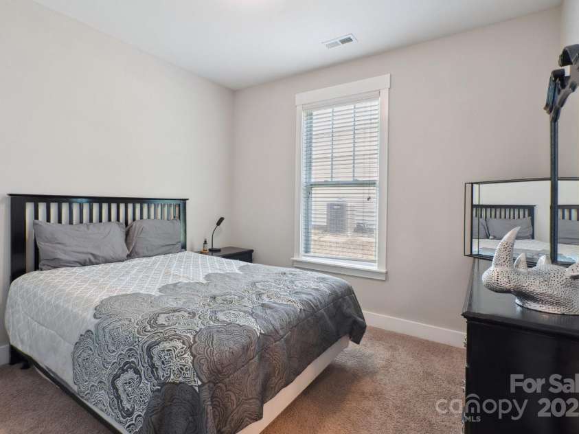 10012 Michael Crossing Drive, Charlotte, NC 28213.  MLS# CAR4267353, YatesRealty ID 30366. Primary bedroom - spacious, featuring a deep trey ceiling.