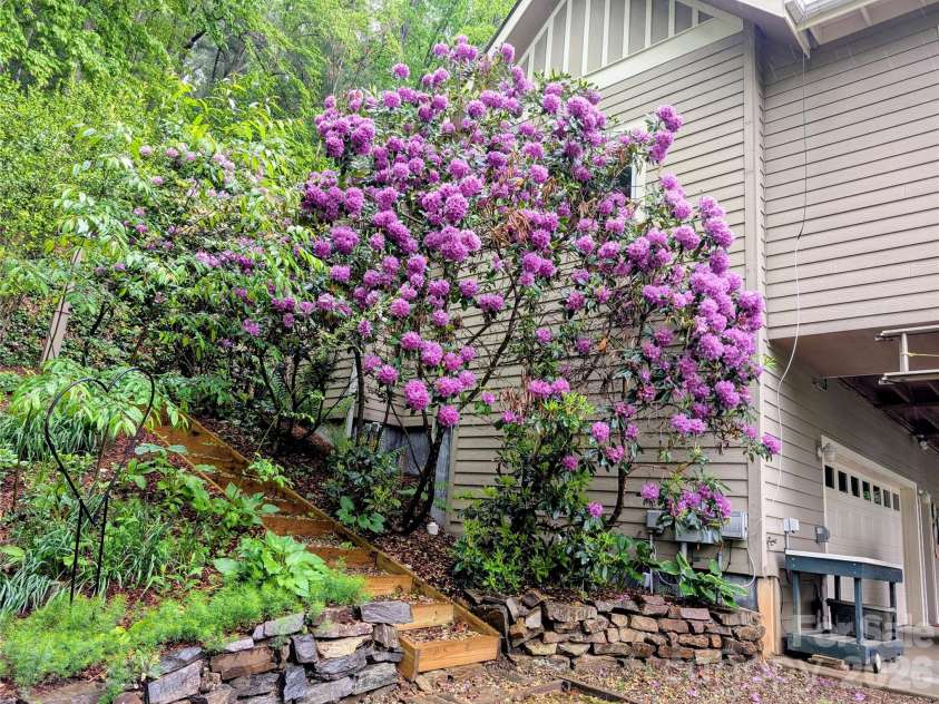 204 Briarcliff None, Asheville, NC 28804.  MLS# CAR4356958, YatesRealty ID 30393. 