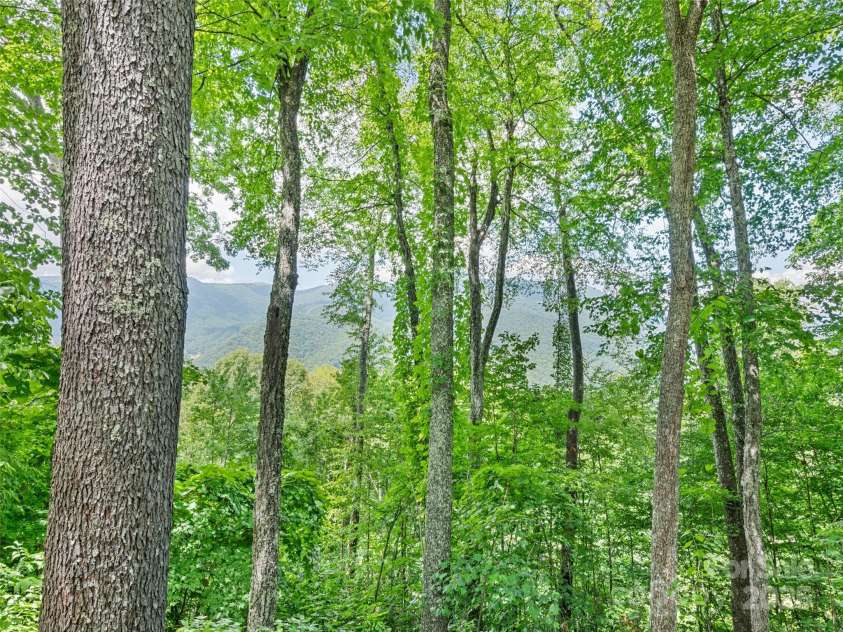 1672 Summit Drive, Maggie Valley, NC 28751.  MLS# CAR4288265, YatesRealty ID 30413. 