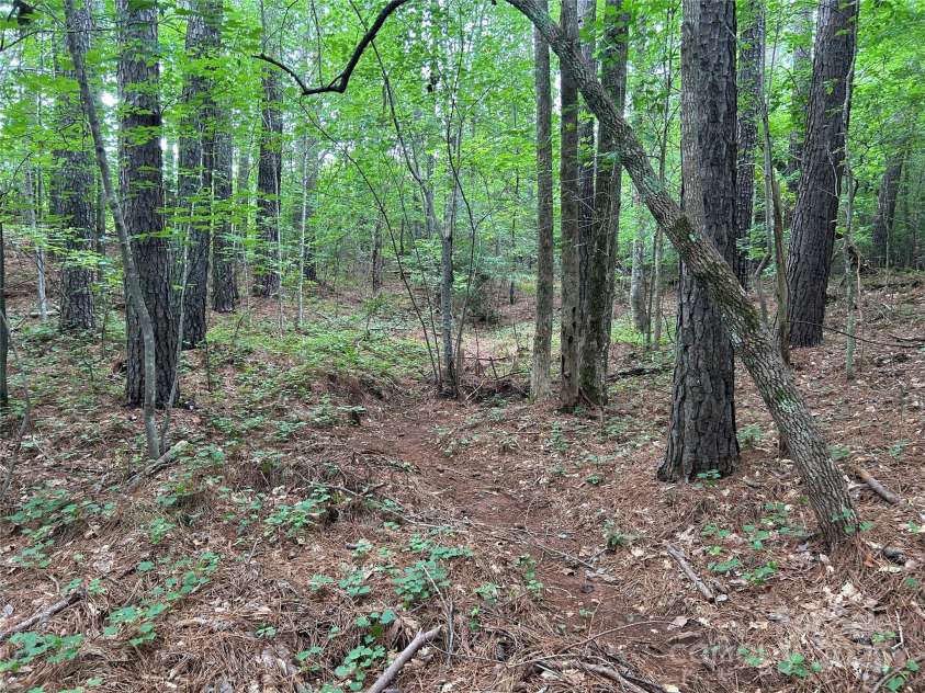 124 Blue Ridge Drive, Rutherfordton, NC 28139.  MLS# CAR4279843, YatesRealty ID 30420. 