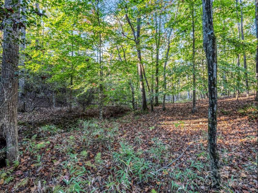 663 Landrum Road, Columbus, NC 28722.  MLS# CAR4315052, YatesRealty ID 30450. Creek is to the left