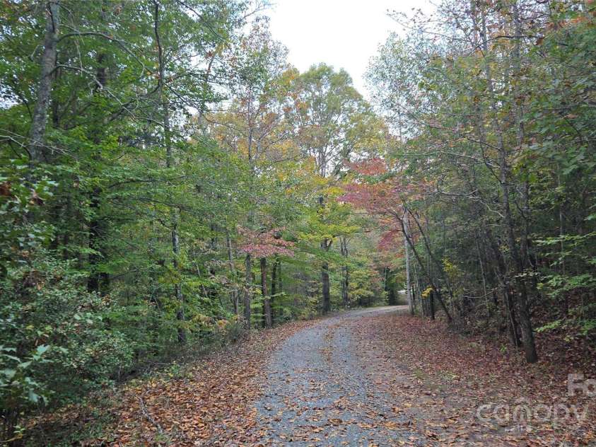 663 Landrum Road, Columbus, NC 28722.  MLS# CAR4315052, YatesRealty ID 30450. Driveway facing Landrum Road