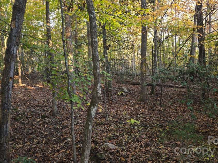 663 Landrum Road, Columbus, NC 28722.  MLS# CAR4315052, YatesRealty ID 30450. View toward driveway.