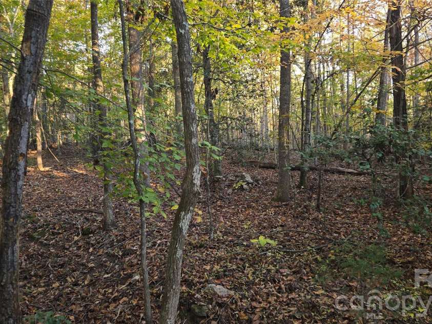 663 Landrum Road, Columbus, NC 28722.  MLS# CAR4315052, YatesRealty ID 30450. View toward driveway.
