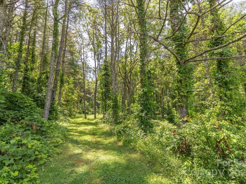 160 Mclean Road, Weaverville, NC 28787.  MLS# CAR4277668, YatesRealty ID 3047. Over 15 acres to enjoy!