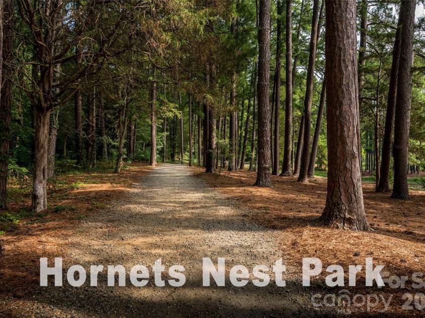 6063 White Aster Lane, Charlotte, NC 28216.  MLS# CAR4390623, YatesRealty ID 30471. 