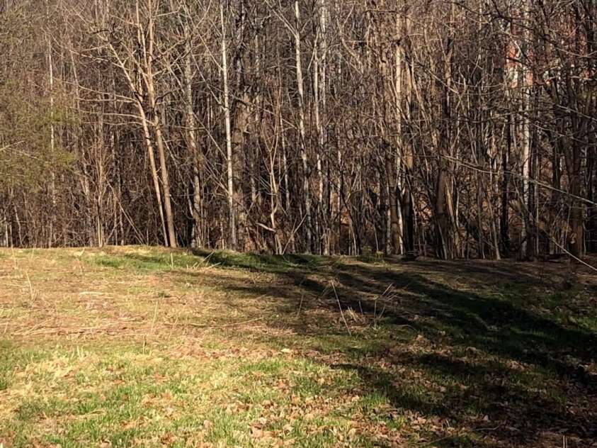 453 Grandview Peaks Drive, Nebo, NC 28761.  MLS# CAR4368502, YatesRealty ID 30490. Lower acreage 2022 with pasture cleared