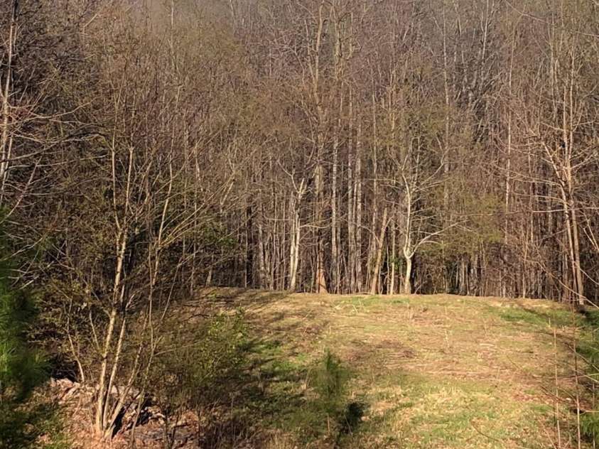 453 Grandview Peaks Drive, Nebo, NC 28761.  MLS# CAR4368502, YatesRealty ID 30490. Lower acreage with Mtn.Views