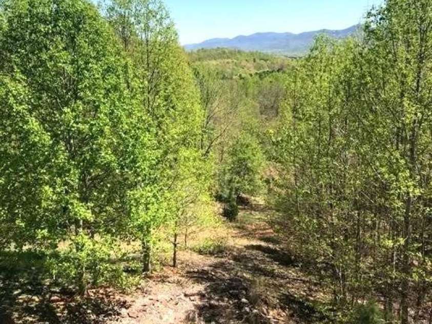 453 Grandview Peaks Drive, Nebo, NC 28761.  MLS# CAR4368502, YatesRealty ID 30490. Woods & Views from back deck