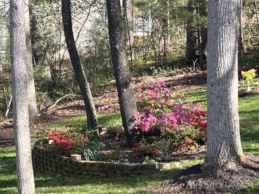 17 Morris Drive, Weaverville, NC 28787.  MLS# CAR4222234, YatesRealty ID 30498.  Azaleas, Tulips, Daffodils, Hosta's Galore