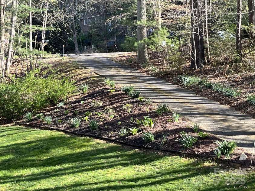 17 Morris Drive, Weaverville, NC 28787.  MLS# CAR4222234, YatesRealty ID 30498. End of the Cul-de-sac entrance to the driveway with Hydrangeas, Hosta's, Hibiscus