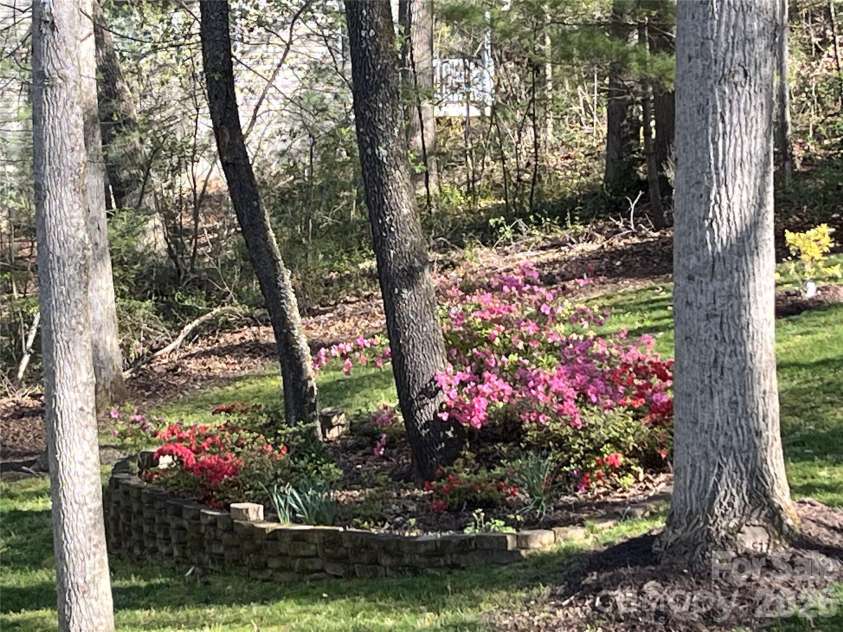 17 Morris Drive, Weaverville, NC 28787.  MLS# CAR4333064, YatesRealty ID 30498.  Azaleas, Tulips, Daffodils, Hosta's Galore