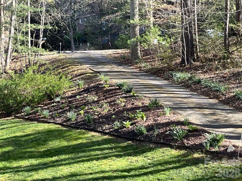 17 Morris Drive, Weaverville, NC 28787.  MLS# CAR4333064, YatesRealty ID 30498. End of the Cul-de-sac entrance to the driveway with Hydrangeas, Hosta's, Hibiscus