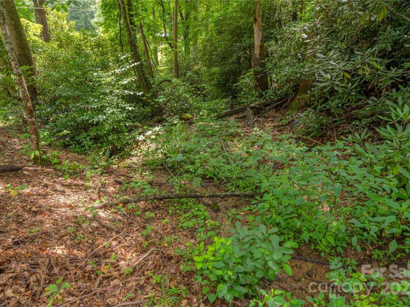 95 Robin Hood Lane, Maggie Valley, NC 28751.  MLS# CAR4288728, YatesRealty ID 30567. 