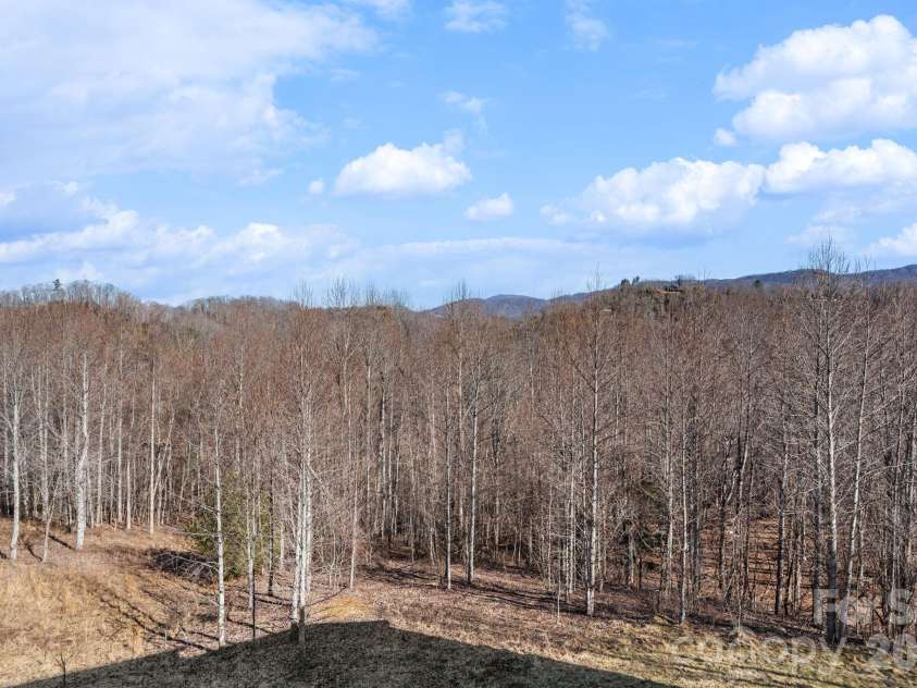 171 Pleasant View Drive, Vilas, NC 28692.  MLS# CAR4393699, YatesRealty ID 30574. 