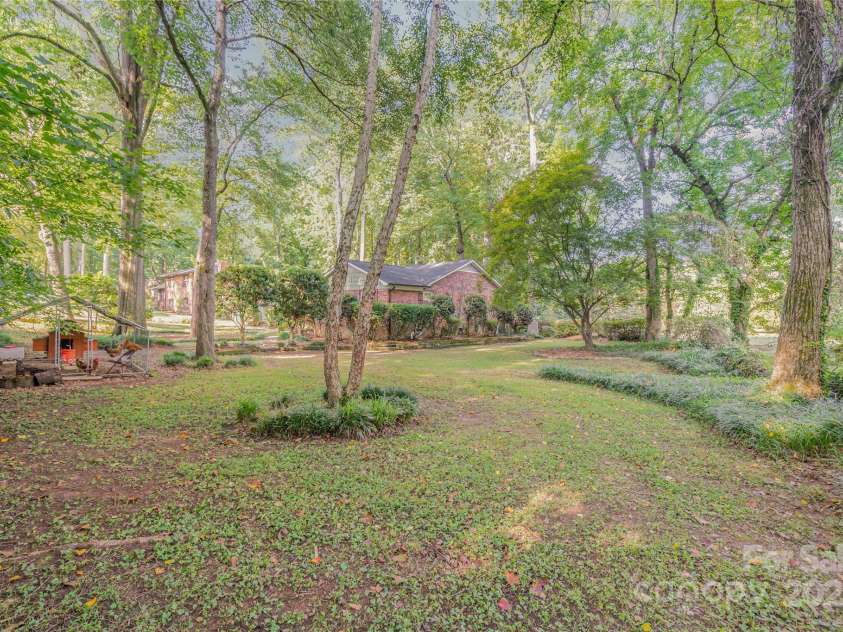 5811 Doncaster Drive, Charlotte, NC 28211.  MLS# CAR4281754, YatesRealty ID 30581. Side Yard & chickens (they do not convey)