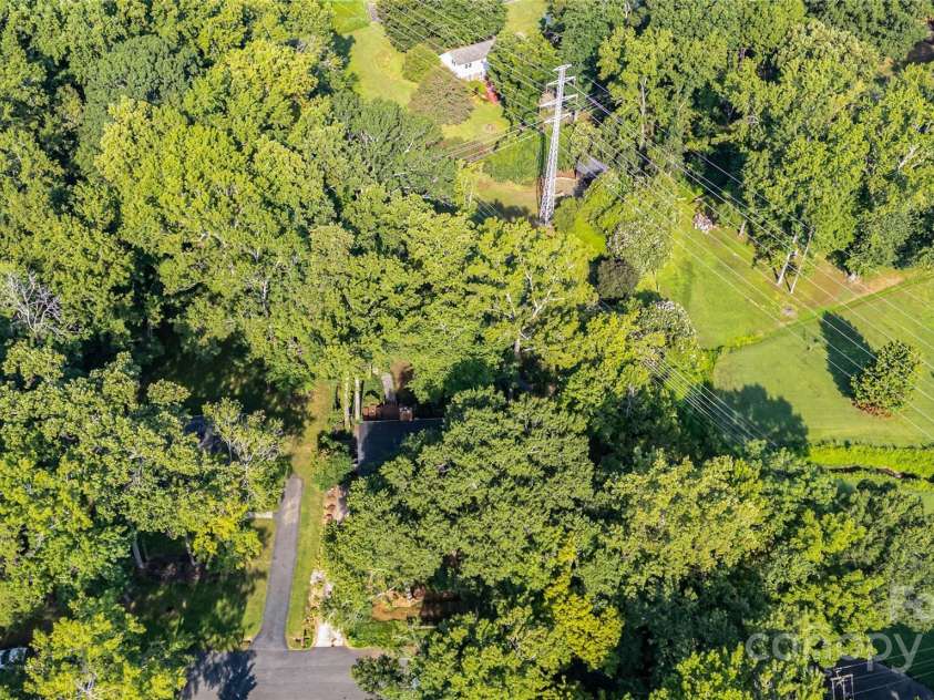 5811 Doncaster Drive, Charlotte, NC 28211.  MLS# CAR4281754, YatesRealty ID 30581. Tree Canopy