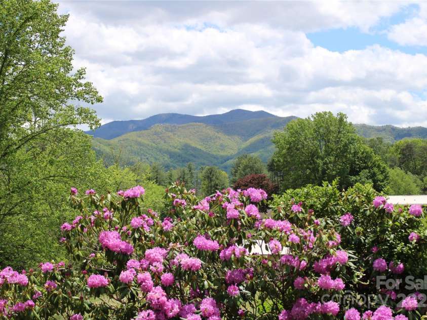 100 Bird Creek Drive, Waynesville, NC 28786.  MLS# CAR4270041, YatesRealty ID 30663. 