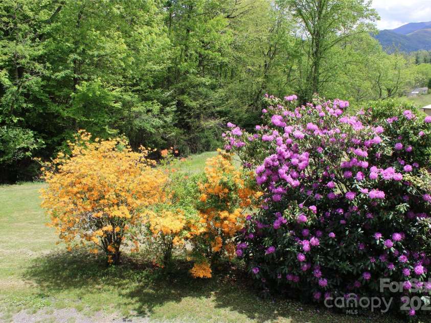 100 Bird Creek Drive, Waynesville, NC 28786.  MLS# CAR4270041, YatesRealty ID 30663. 