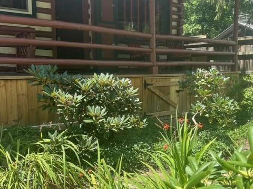 10 Rhododendron Drive, Asheville, NC 28805.  MLS# CAR4274926, YatesRealty ID 30669. Front showing shubbery