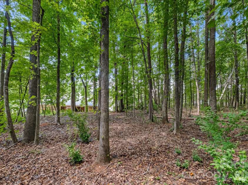 1437 Deer Forest Drive, Fort Mill, SC 29707.  MLS# CAR4385819, YatesRealty ID 30694. Back Yard