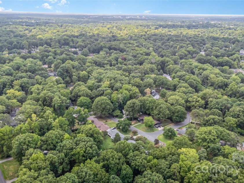 1210 Shady Bluff Drive, Charlotte, NC 28211.  MLS# CAR4280604, YatesRealty ID 30709. Lush Tree Canopy in the Forest