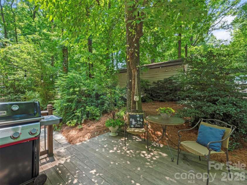 3814 Wonderland Drive, Matthews, NC 28104.  MLS# CAR4391845, YatesRealty ID 30724. Back yard
