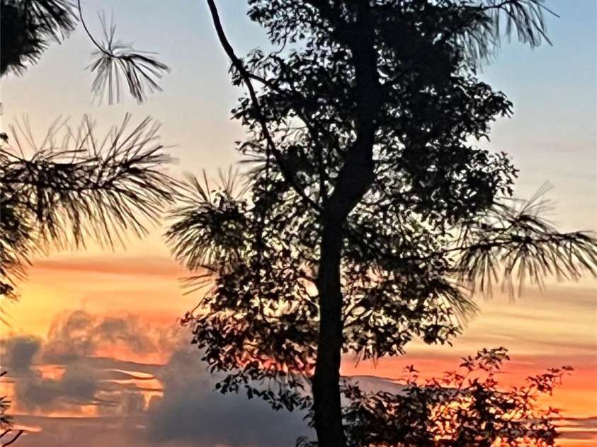 50 Mountain Top Lane, Mars Hill, NC 28754.  MLS# CAR4276175, YatesRealty ID 30742. Sunsets from the cabin.