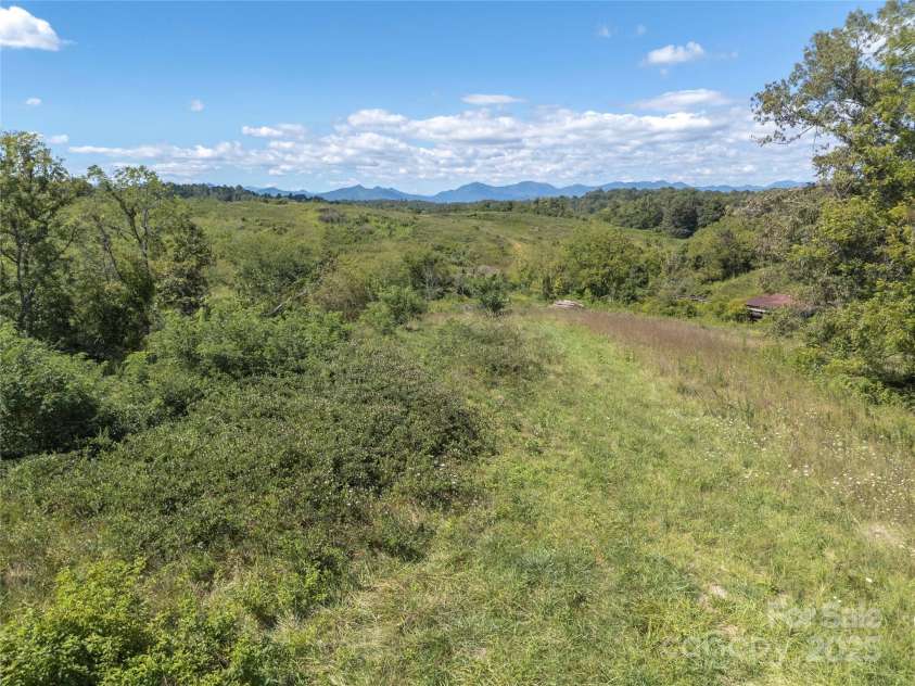56 Gill Branch Road, Weaverville, NC 28787.  MLS# CAR4270678, YatesRealty ID 3075. Easy build sites all around.
