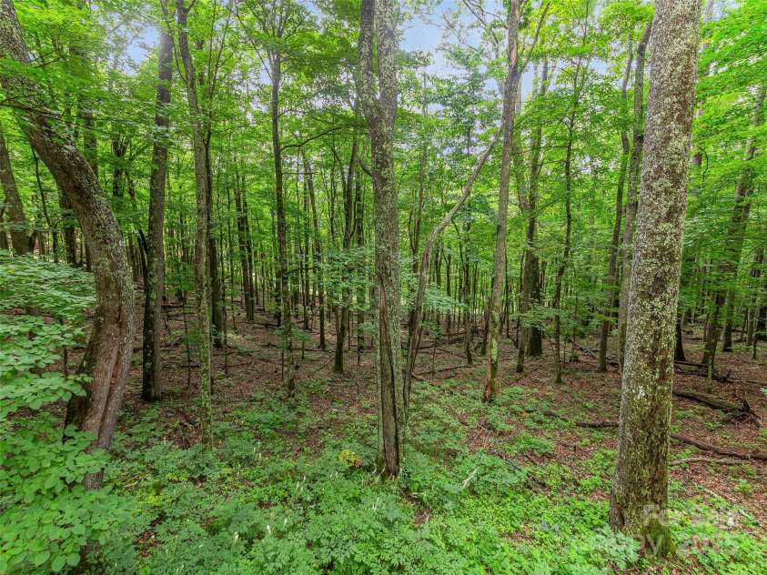 186 Hamlin Lane, Mars Hill, NC 28754.  MLS# CAR4289189, YatesRealty ID 30765. 