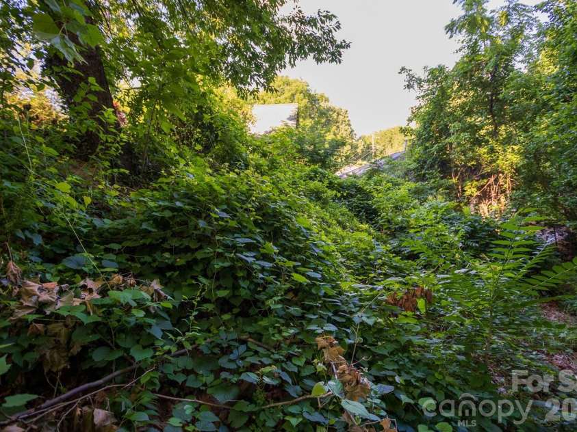91 Clingman Avenue, Asheville, NC 28801.  MLS# CAR4393571, YatesRealty ID 30780. 