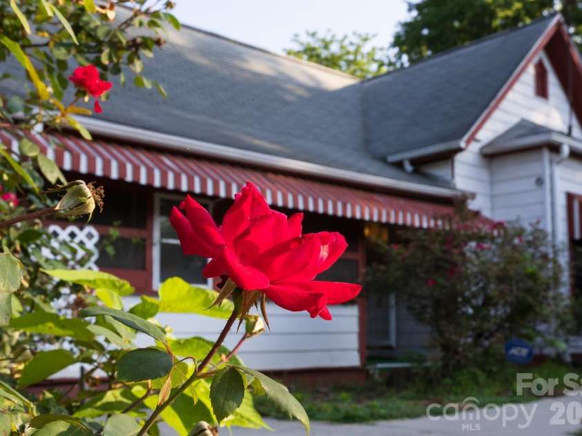 91 Clingman Avenue, Asheville, NC 28801.  MLS# CAR4417638, YatesRealty ID 30780. 