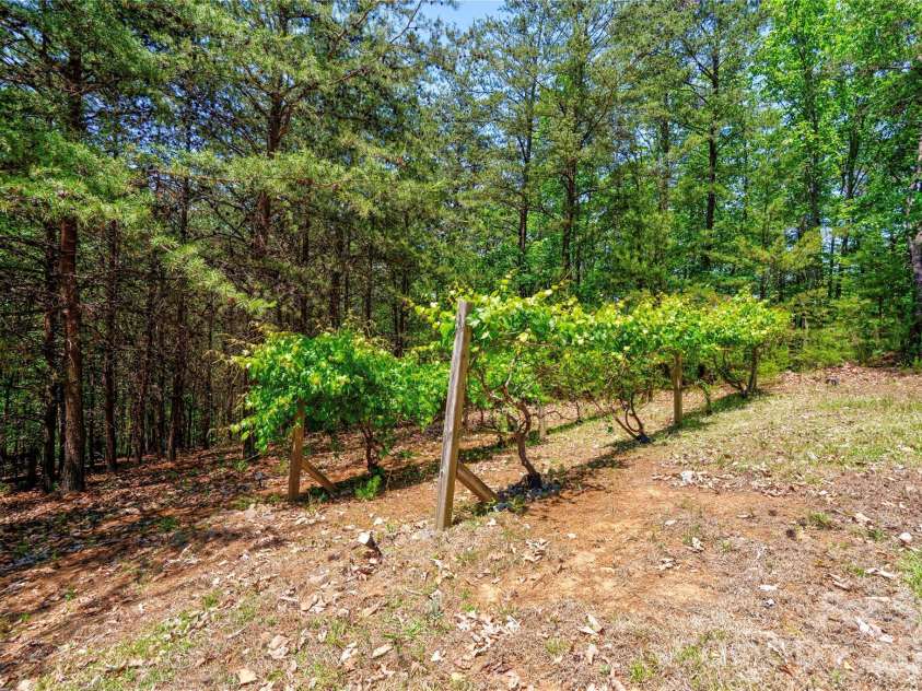 389 Woodgate Drive, Bostic, NC 28018.  MLS# CAR4381930, YatesRealty ID 30806. 